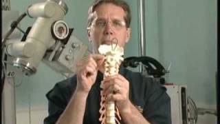 Dr Mitch explains Atlas Orthogonal Chiropractic [upl. by Eceinart]