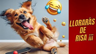 Los Perros Más Graciosos de 2024 Hasta Ahora 😂  Mejor Compilación [upl. by Eldoree]