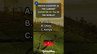 🚢 Test Your Geography Knowledge with This Fun Quiz 🏞️learngeography geographytrivia [upl. by Ahtamas]