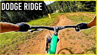 Californias Newest Lift Access Bike Park  Dodge Ridge [upl. by Faye]