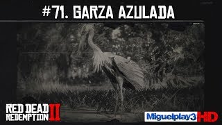 Localización Garza Azulada  71 Compendio Animales  Red dead redemption 2 [upl. by Krenn761]