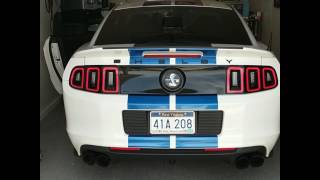 2013 Shelby GT500 Cold Start [upl. by Aletse]