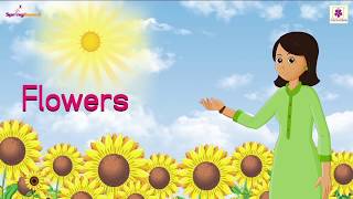 Flowers Nursery Rhyme For Children  Kids Songs  Baby Rhymes by Periwinkle [upl. by Ellehcil]