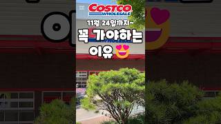 코스트코 11월 24일까지 꼭 가야하는 이유 costco costcoshopping 코스트코 코스트코추천템 코스트코추천상품 코스트코에서꼭사야할것 [upl. by Yahiya674]