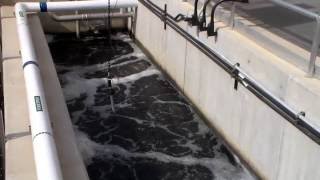 Moving Bed Bioreactor MBBR Waste Water Process  Read Below [upl. by Bendix]