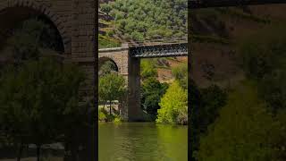 Douro Valley Wine Tour From Porto by livingtours [upl. by Aivon86]