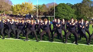 Grammar vs Kings College  Haka [upl. by Enialehs622]