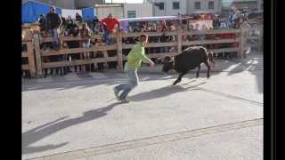 FOTOS VACAS CALLE ARGUEDAS NAVARRA 4 04 2015 [upl. by Marquita]