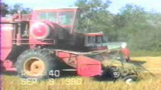 Wheat harvest with Massey 510 and IH Loadstar 1600 [upl. by Arvad]