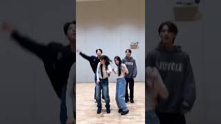 Red Velvet Irene 아이린 amp Seulgi 슬기 Dance Challenge Complication [upl. by Veleda]