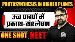 PHOTOSYNTHESIS IN HIGHER PLANTS in 1 Shot  उच्च पादपों में प्रकाशसंश्लेषण  Concept amp PYQ  NEET [upl. by Nerret]