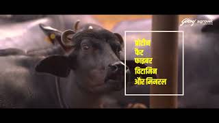 Godrej Supreme Dairy Ration  Cattle feed  Hindi [upl. by Esil]