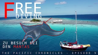 Freediving mit Mantas  Boatlife in französisch Polynesien 2024 [upl. by Mochun]