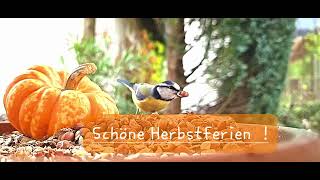 Schöne Herbstferien [upl. by Saxena367]