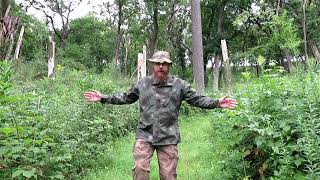 DIY Camo Pattern Effectiveness Test Part 2 [upl. by Marcelline574]