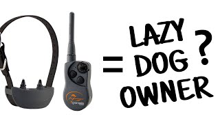 Are Electric Collars for Lazy Dog Owners [upl. by Ayotahc]