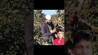 Mizanur Rahman Azharis MINDBLOWING Fruit Garden in Kashmir MizanurRahmanAzhari FruitGarden [upl. by Cassy]