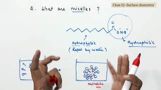 QWhat are micelles or associated colloids Class  12 Surface chemistry [upl. by Atinid]