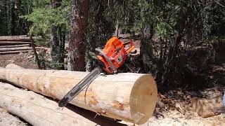 First cuts for the G395XP Farmertec holzfforma Husqvarna 395 XP copy clone chainsaw [upl. by Coppola]