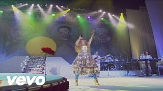 Elba Ramalho  Sabiá Ao Vivo [upl. by Grissom196]