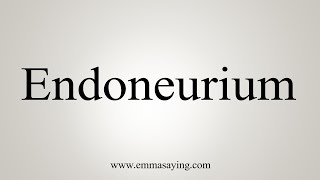 How To Say Endoneurium [upl. by Avevoneg]