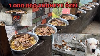 1 MİLYON ABONEYE ÖZEL KÖPEKLERİME MANGAL PARTİSİ YAPTIK [upl. by Yoong317]