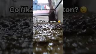 👉💥Nový superplastifikátor do betonu👈💥 beton [upl. by Nosneb]