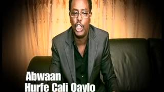 Gabay Dardaaranka siyaasi Soomaali ah by Hurfe Cali Qaylo [upl. by Maffei]