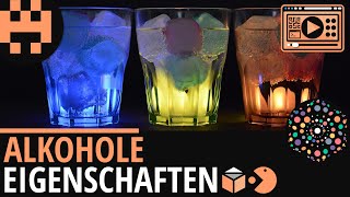 Alkohole Eigenschaften│Chemie Lernvideo│Learning Level Up [upl. by Sonnnie]