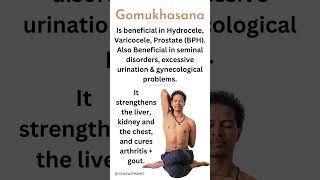 Benefits of Gomukhasana  The Cow Face Pose [upl. by Anderson]