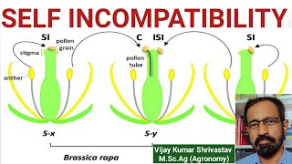 SELF INCOMPATIBILITY [upl. by Anavi]