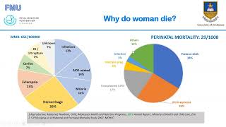 Labour Ward Risk Assessment and Management [upl. by Brandice]