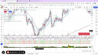 ARDX Update 13 February 2024 [upl. by Siraj]