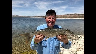 Flaming Gorge Tube Bite 2018 [upl. by Liakim]