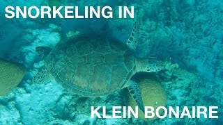 Klein Bonaire Snorkeling  Bonaire [upl. by Yreneh]