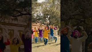 Bhangra on Tere bina na guzaara ae  Satinder Sartaaj  Josh Brar  Folking Desi [upl. by Dlonyer]