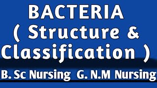 BACTERIA  Characters Of Bacteria  Structure Of Bacteria Classification Of Bacteria [upl. by Natty]