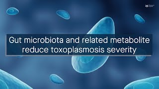 A gut microbial metabolite mitigates Toxoplasma gondiimediated intestinal inflammation [upl. by Aivital959]