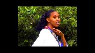 Ethiopian Amharic MusicGenet Masresha wollo [upl. by Madelon]