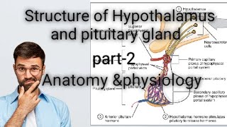 structure of Hypothalamus an pituitary glandendocrine systempart2bsc nursing gnm video [upl. by Far890]