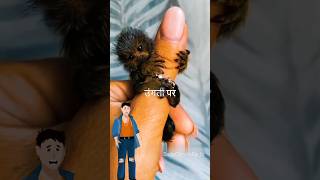 The Finger Monkey  Pygmy Marmoset shorts facts [upl. by Ennoryt]