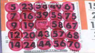 Bingo Patterns what are they and how they work [upl. by Anair79]