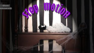 Stop Motion Animation [upl. by Kelam]