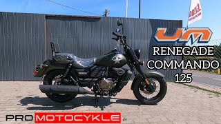 UM RENEGADE COMMANDO 125  prezentacja [upl. by Akimak908]