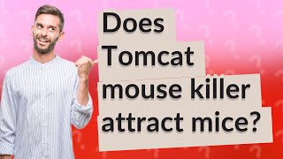 Does Tomcat mouse killer attract mice [upl. by Balliol]