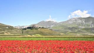 Un anno a Castelluccio di Norcia [upl. by Nauq128]