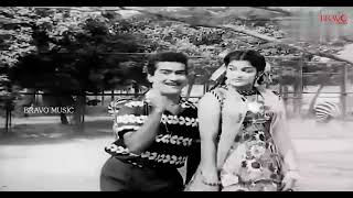 தனியா தவிக்கிற மனசு  Thaniya Thavikkira Manasu  Chandrababu  Superhit Song  Re Master Sound [upl. by Jamie97]