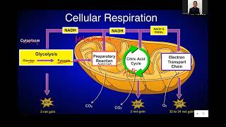 Crop Science Q amp A  Photosynthesis and Cellular Respiration [upl. by Lierbag]