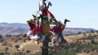 Dance of The Flyers  DANZA DE VOLADORES  Mexican Tradition [upl. by Tenom]