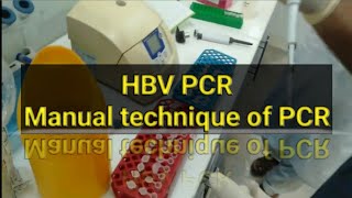 HBV PCR test PCR test Manually [upl. by Creamer]